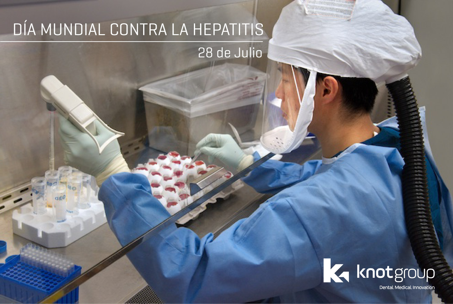 Imagen Noticia 33